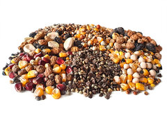 Partikel Mix Trocken