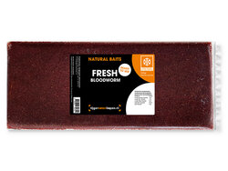 Bloodworm Frisch *6