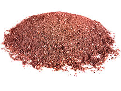 Bloodworm Halibut Grundfutter 6* 2,5KG