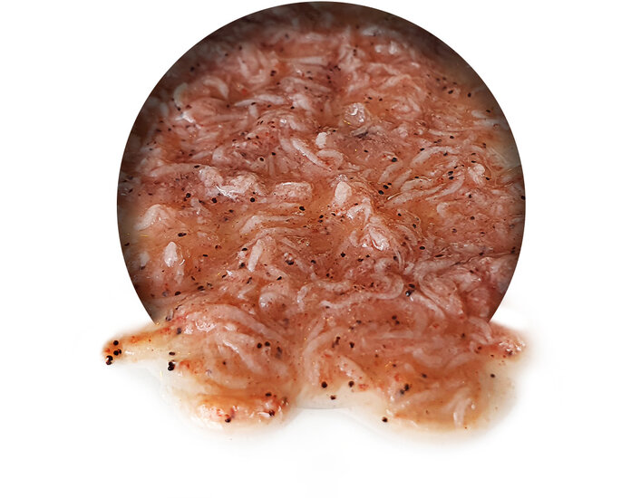 Krill Frisch *6