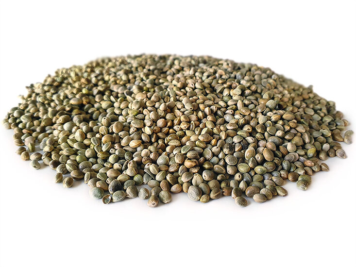 Hanfsamen 6* 2,5KG