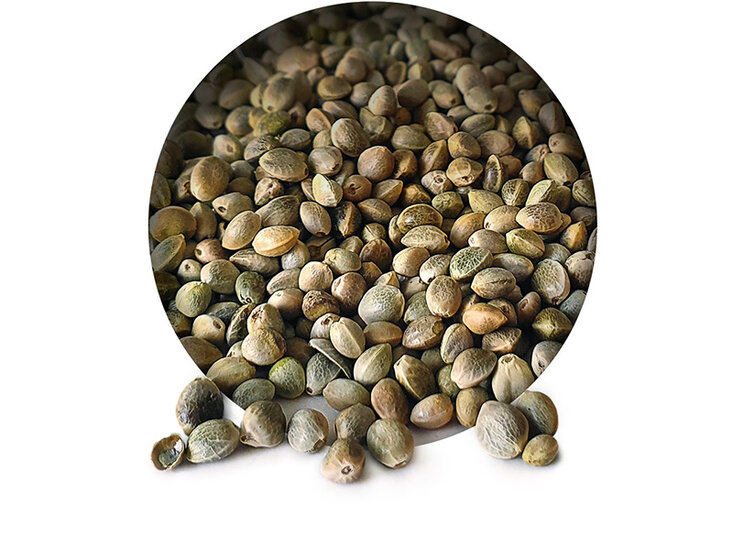 Hanfsamen 6* 2,5KG