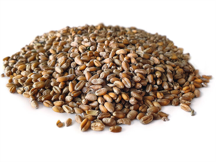 Weizen 6* 2,5KG