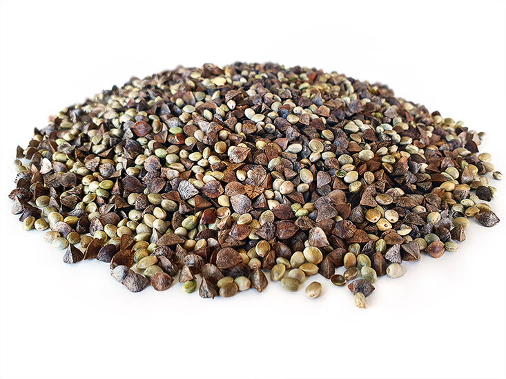 Hanf Buchweizen Partikel Mix 6* 2,5KG