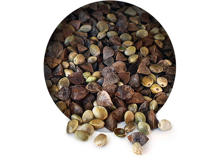 Hanf Buchweizen Partikel Mix 6* 2,5KG