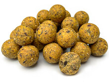 Hanf Buchweizen Vanille Boilies 6* 2,5KG