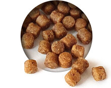 Karamell Pellets 4mm 6* 2,5KG
