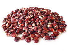 Mais Rot 6* 2,5KG