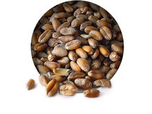 Weizen 6* 2,5KG