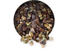 Hanf Buchweizen Partikel Mix 6* 2,5KG